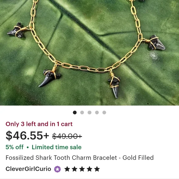 Fossilized Shark Tooth Charm Bracelet - Picture 4 of 4